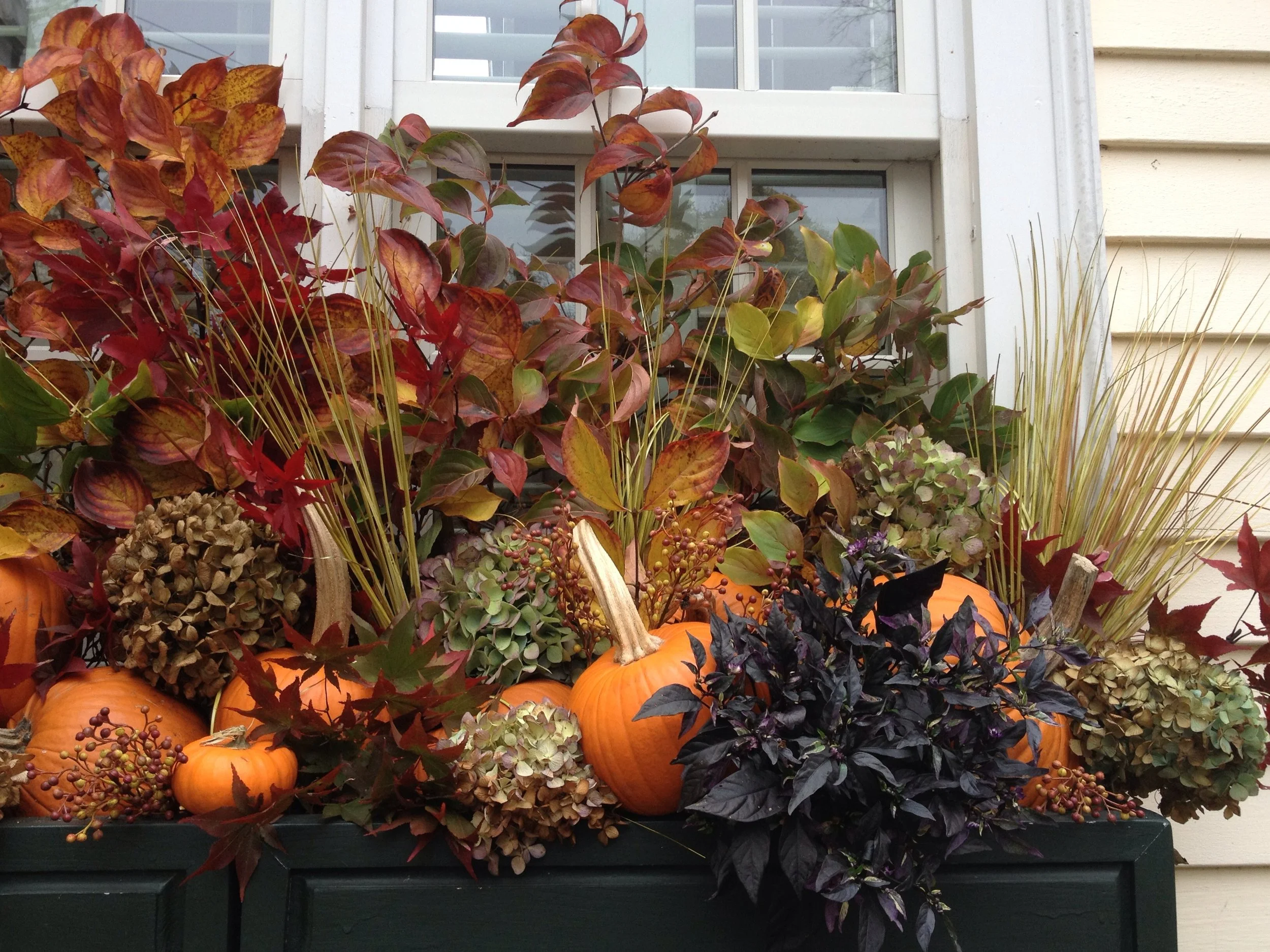 Dried Hydrangeas, Kousa Dogwood and Pepper plants—oh, wait—there’s some Japanese Maple in there, too. And then the pumpkins and what appear to be Rose Hips. I don’t remember! ©betsygibsondesign