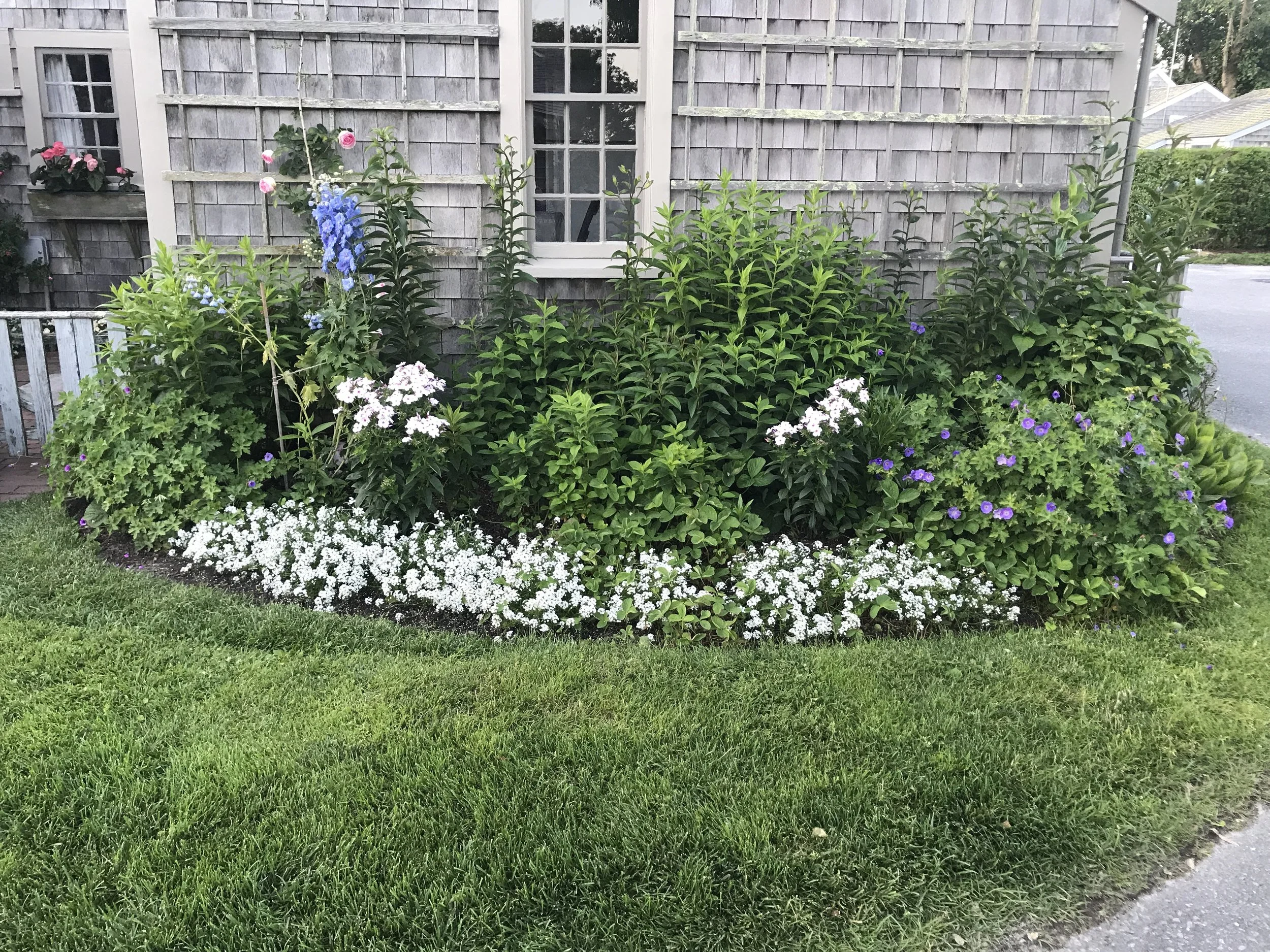Historic Sconset Home. Early July 2018. As of the Tour date, this small garden has erupted in color and filled in completely. ©betsygibsondesign