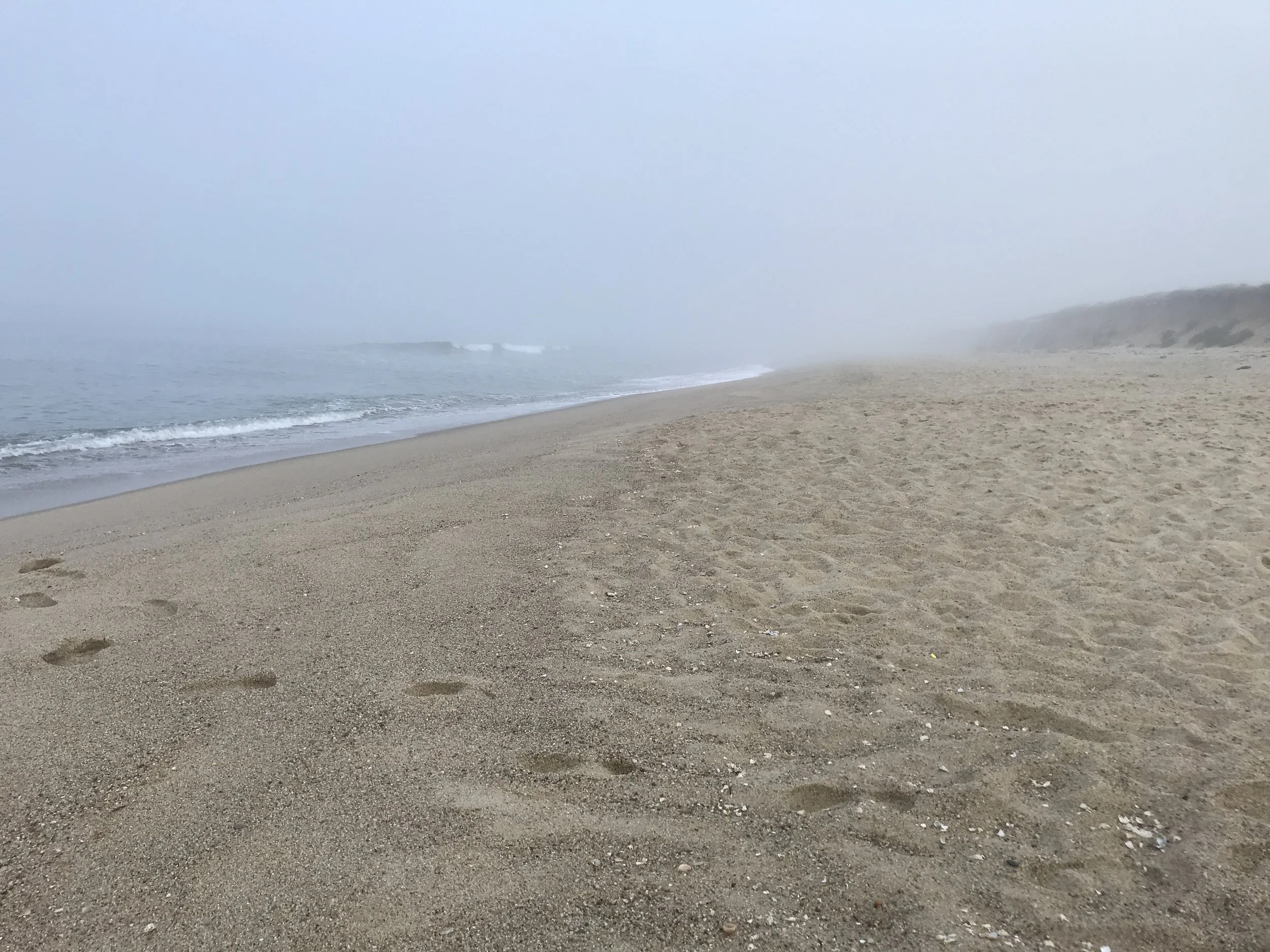 Bunny’s Beach—not a soul in sight! 6:50 AM. ©betsygibsondesign