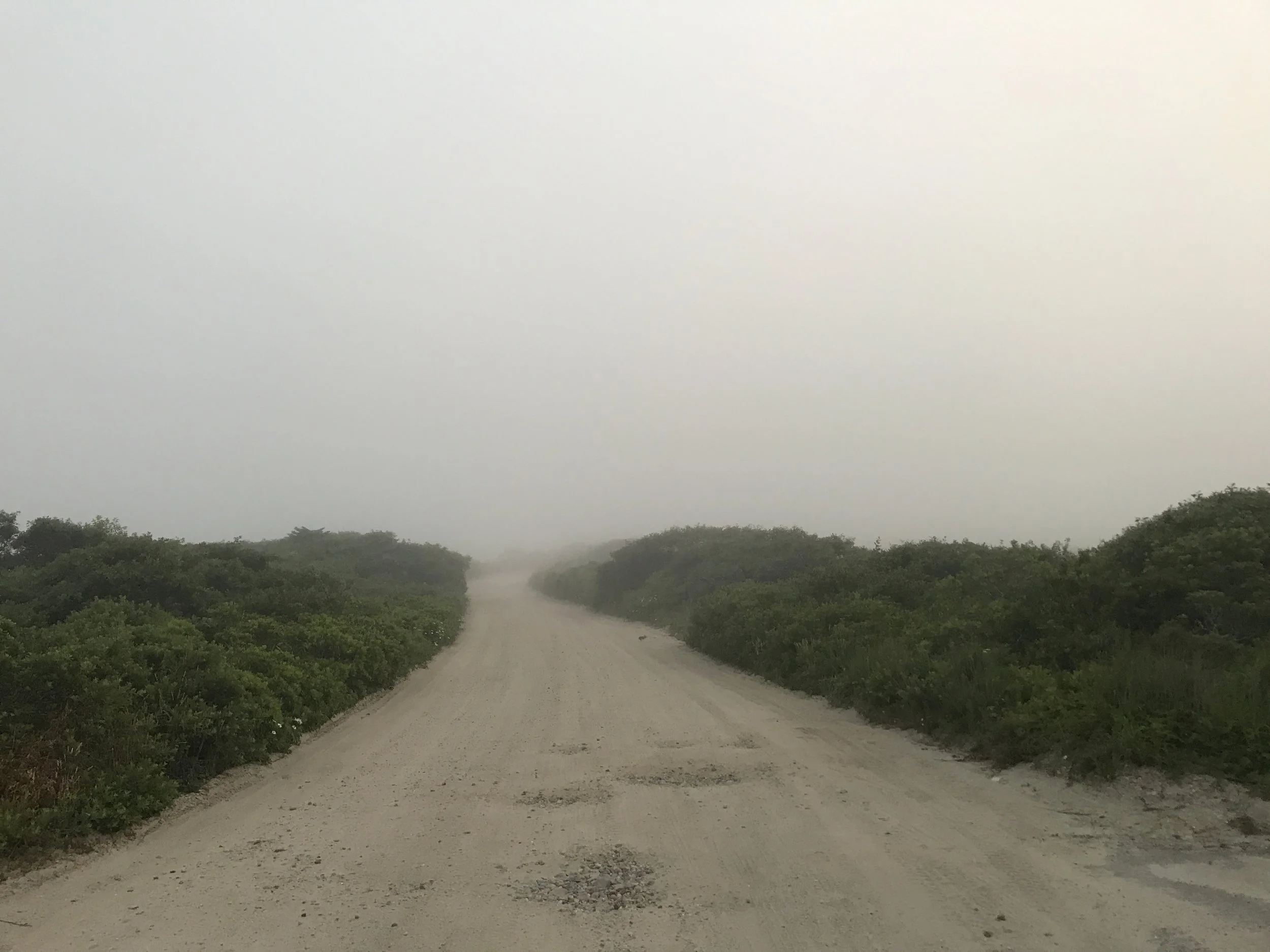 On the road to Bunny’s Beach with my sister. 6:20 AM. ©betsygibsondesign