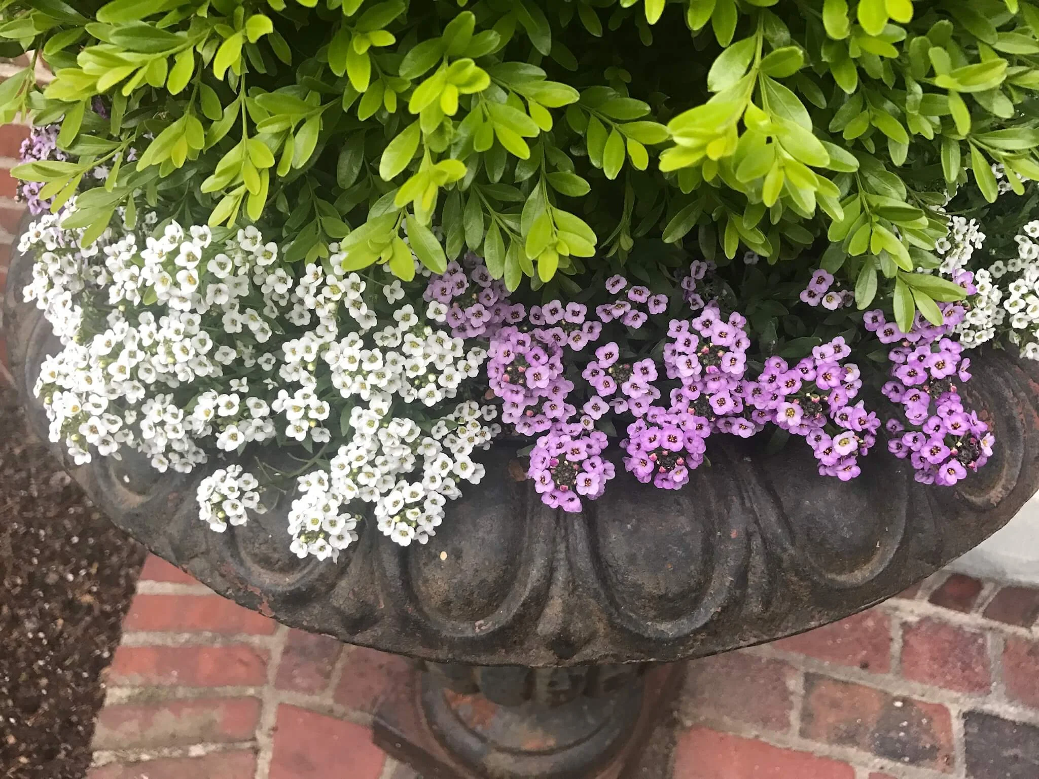 Betsy Gibson Floral Design MA.JPG