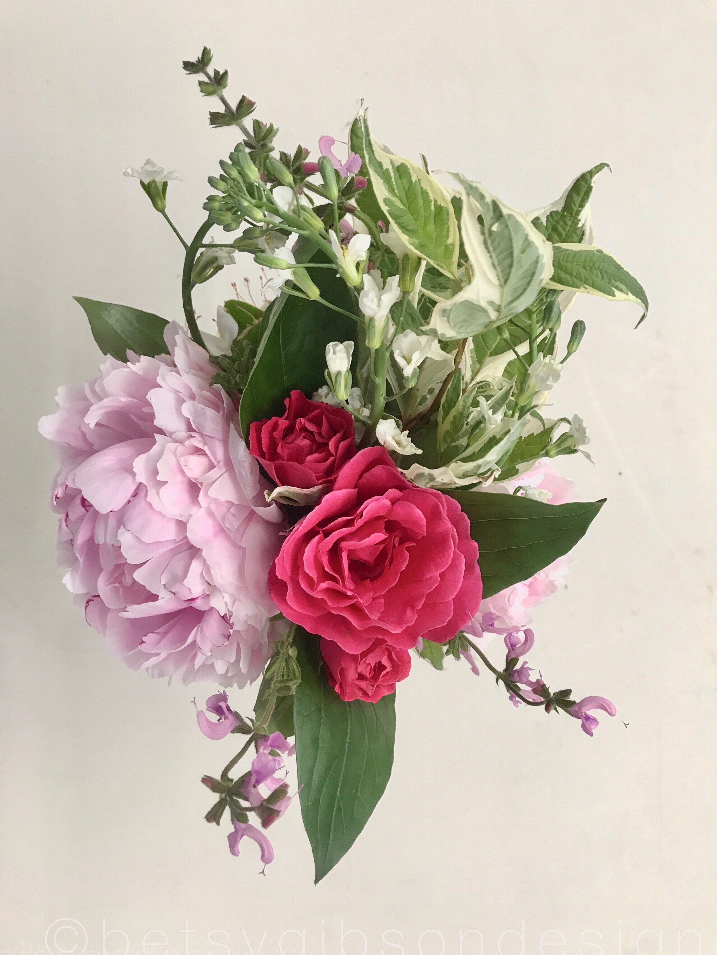 Watermarked(2017-06-21-1207).jpg