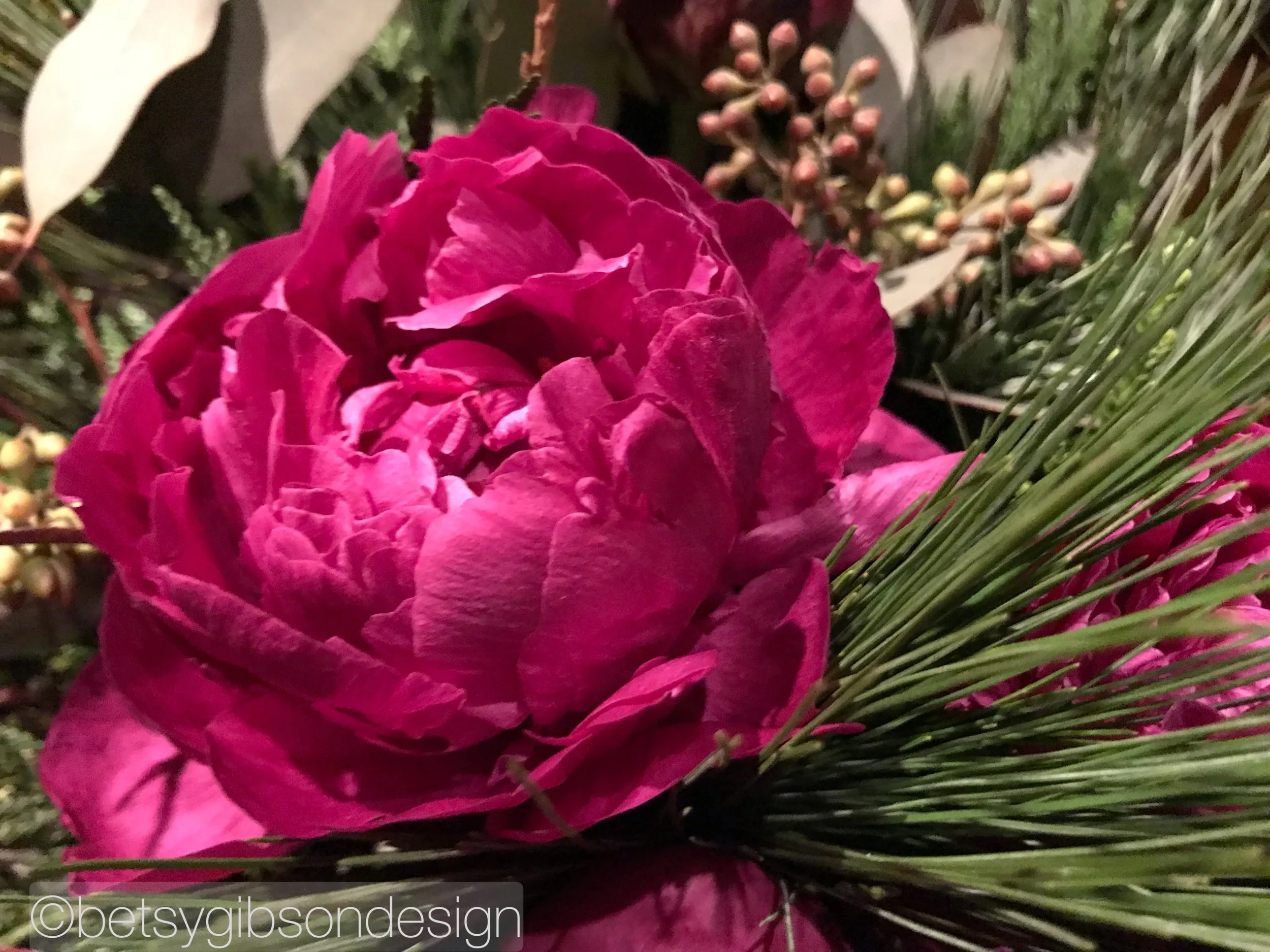 Watermarked499(2018-12-14-2055).jpg