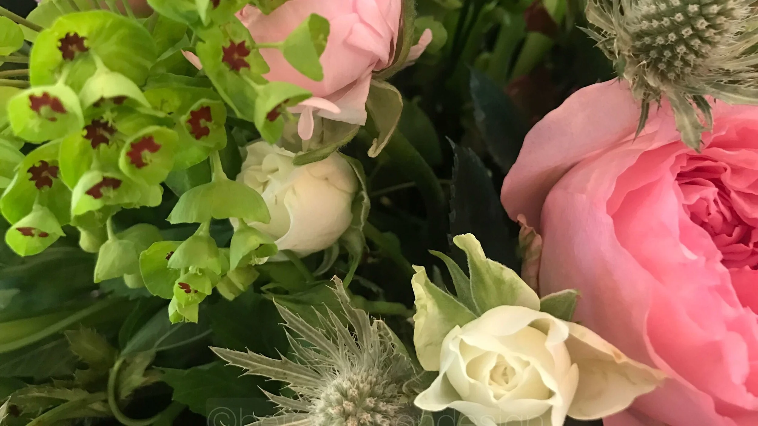 Betsy Gibson Floral and Home Designer in MA 3.jpeg