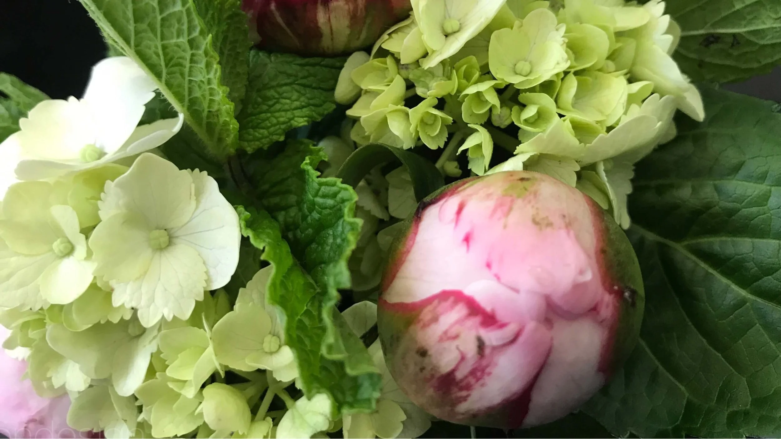 Betsy Gibson Floral and Home Designer in MA 6.jpeg