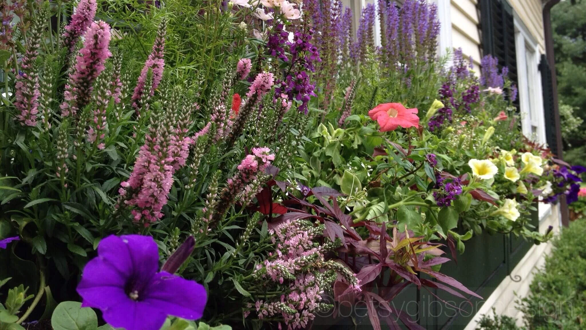 Betsy Gibson Floral and Home Designer in MA.jpeg