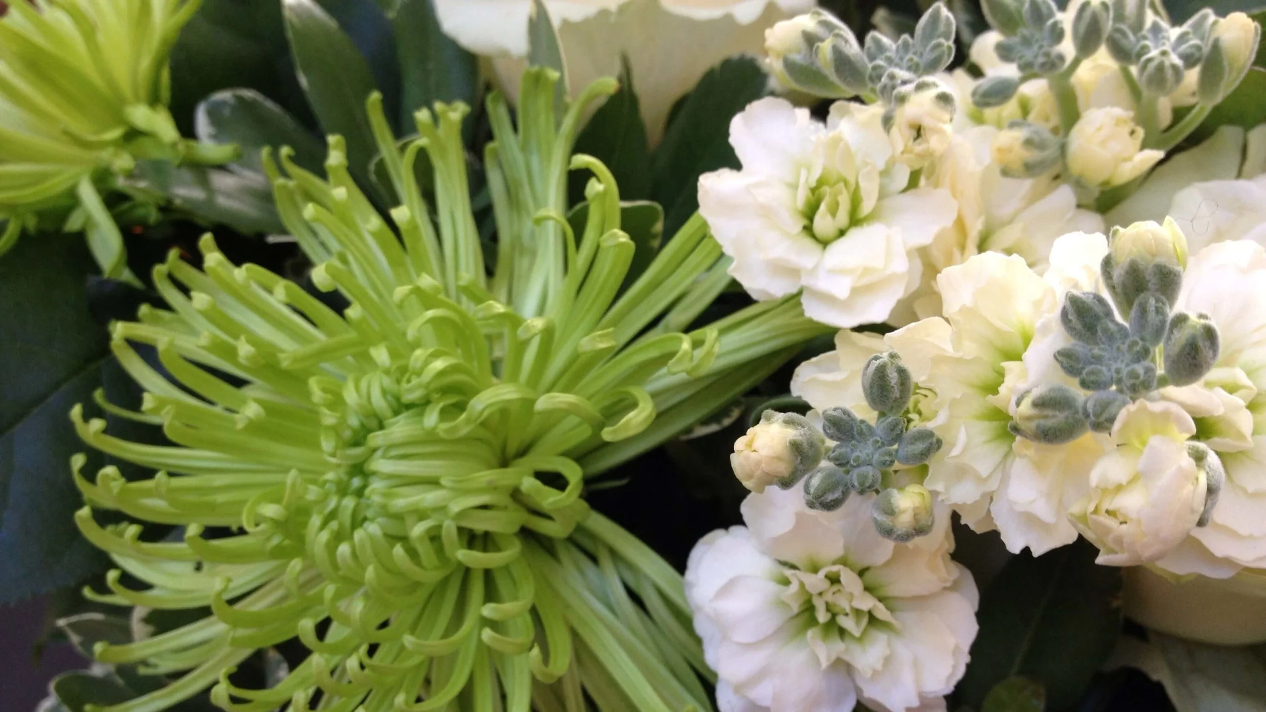 Betsy Gibson Floral and Home Designer in MA 11.JPG