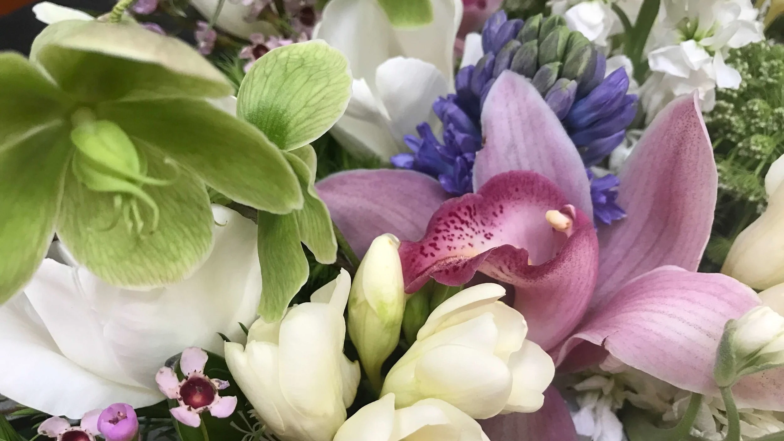 Betsy Gibson Floral and Home Designer in MA 1.jpeg