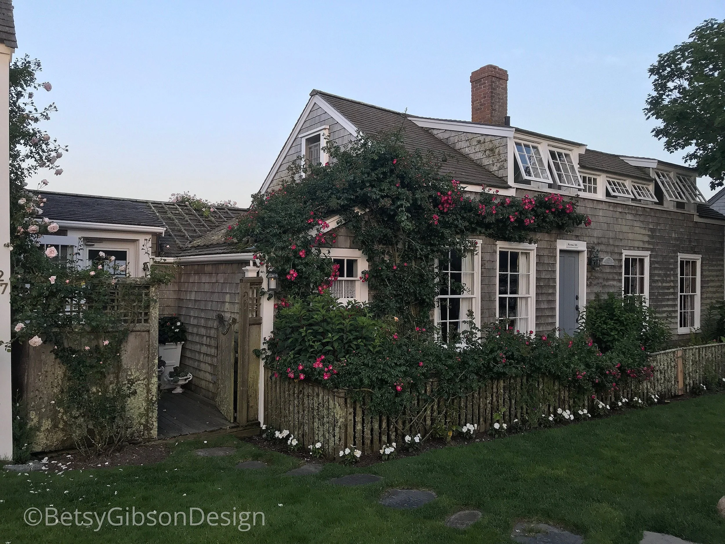 The roses are climbing in Sconset. My favorite house. Nauma 1676. July 2018. ©betsygibsondesign