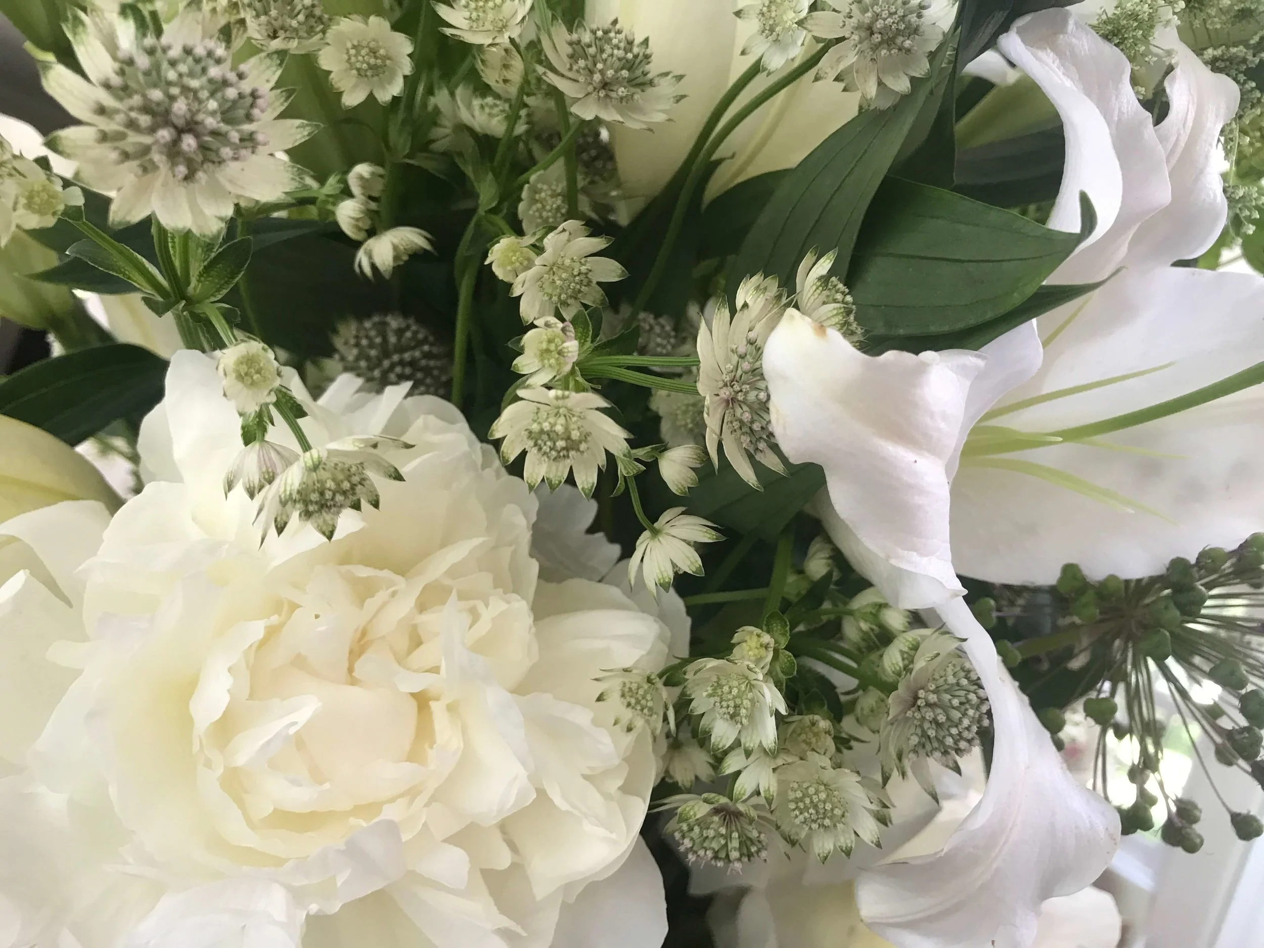 Flowers Bring Historic Preservation to Life: Betsy Gibson Design for Carrère and Hastings and the Olmsted Brothers Firm