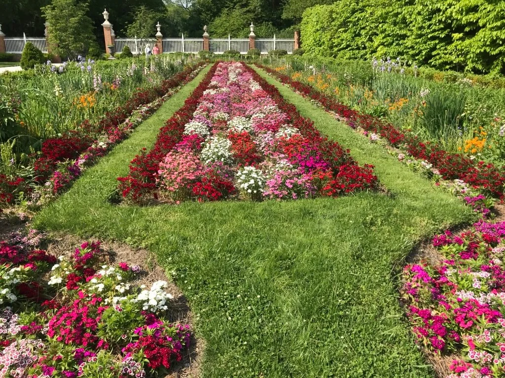 One side of the Main Garden Green at the Palace Gardens. Each side of the Main Green, which is divided into two separate strips by a wide oyster shell path leading down to the end of the garden, mirrors the other in terms of layout and plant material. ©betsygibsondesign