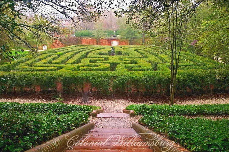 A View of the Maze.©Colonial Williamsburg Foundation 2010.