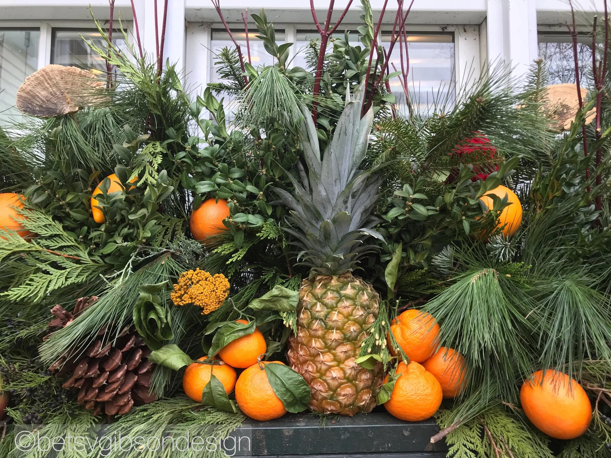 Watermarked331(2018-12-14-2047).jpeg