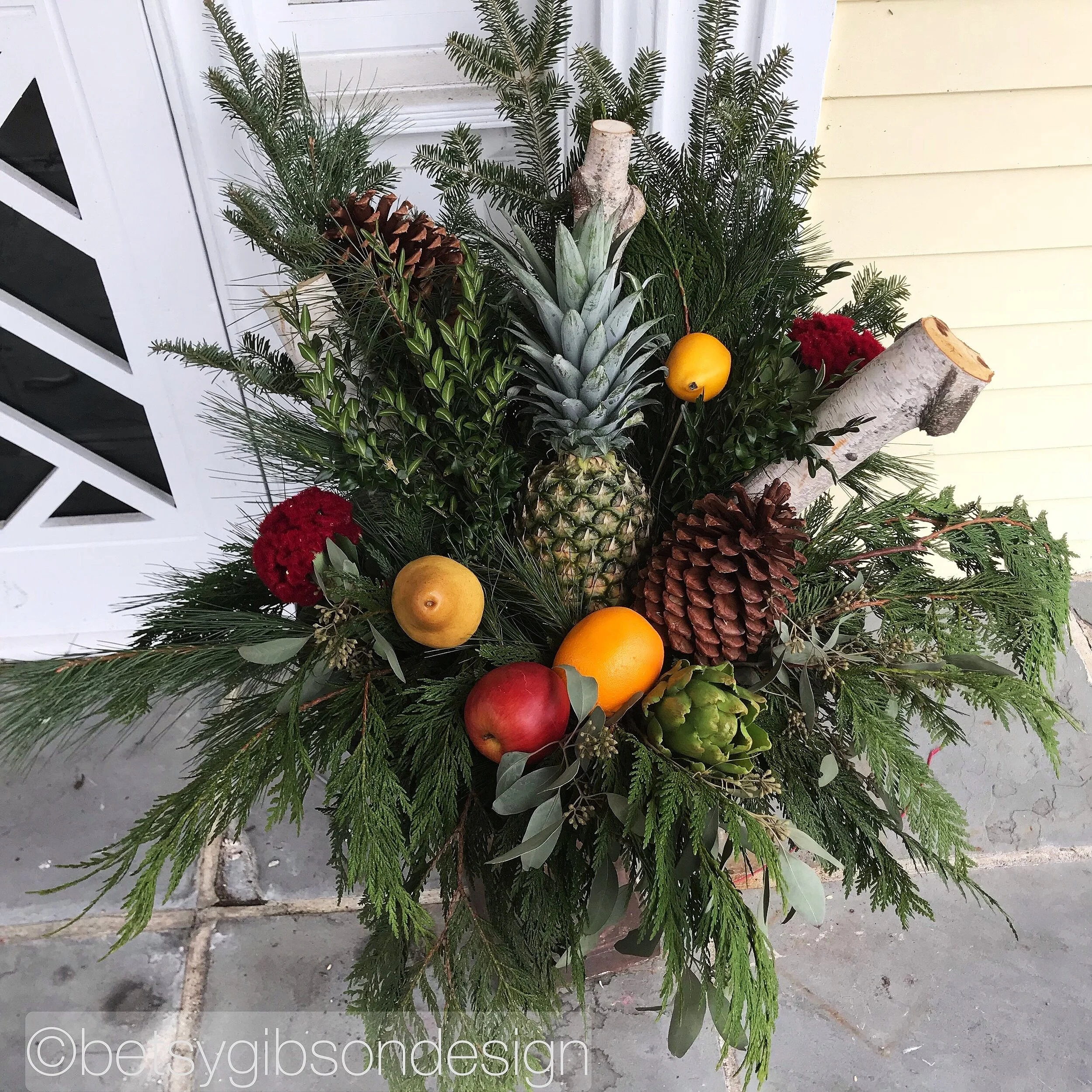 Watermarked394(2018-12-14-2050).jpeg