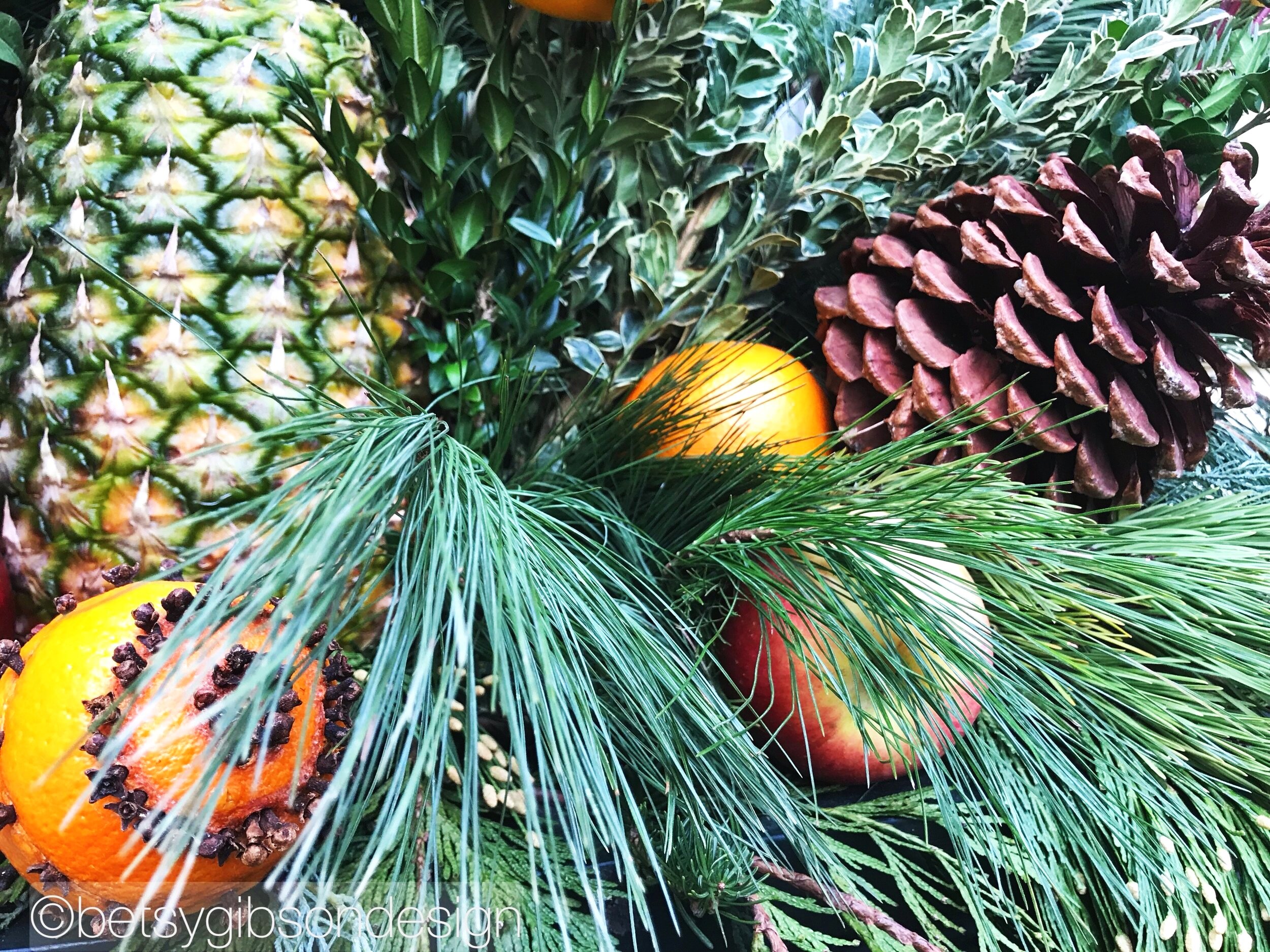 Watermarked319(2018-12-14-2046).jpeg