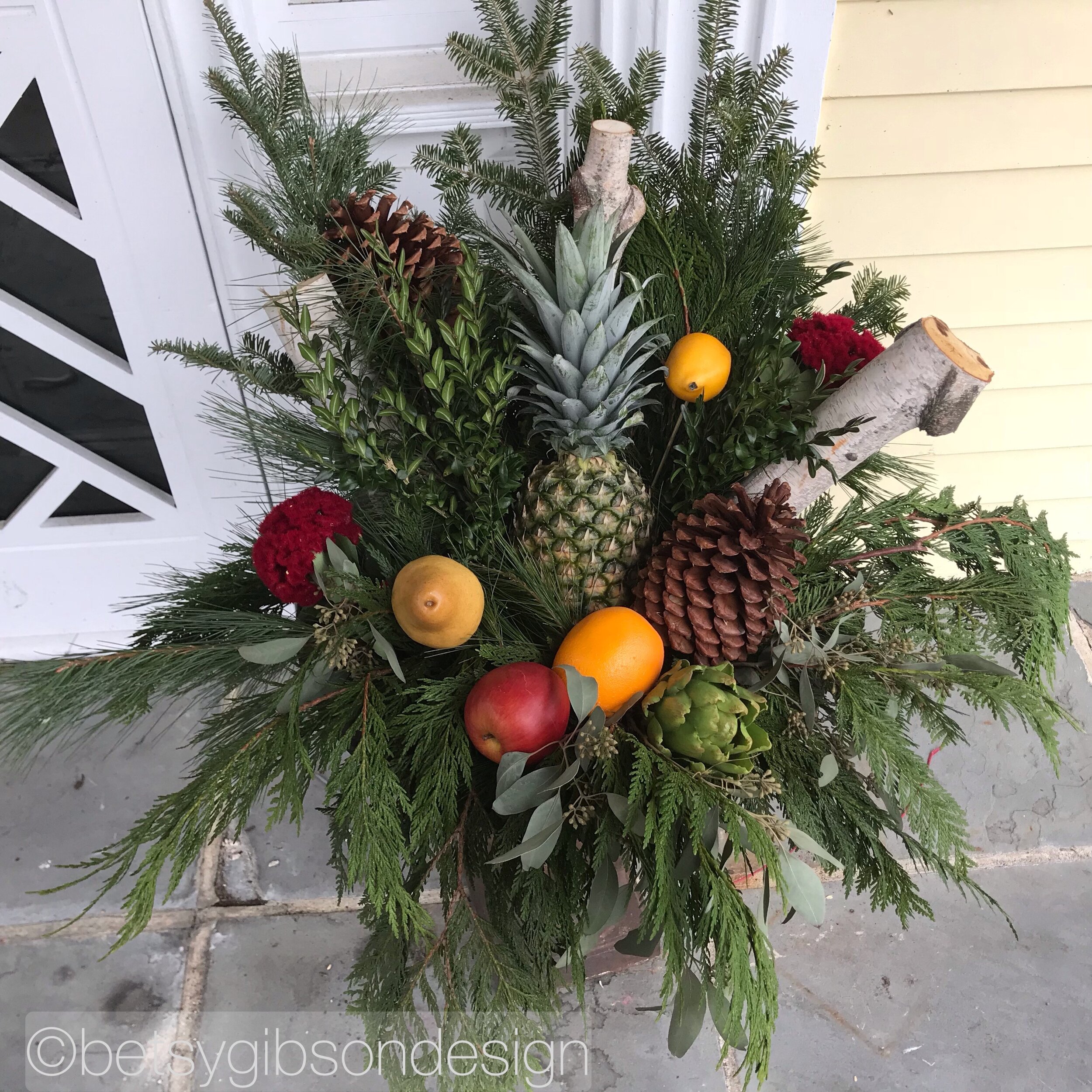 Watermarked394(2018-12-14-2050).jpeg