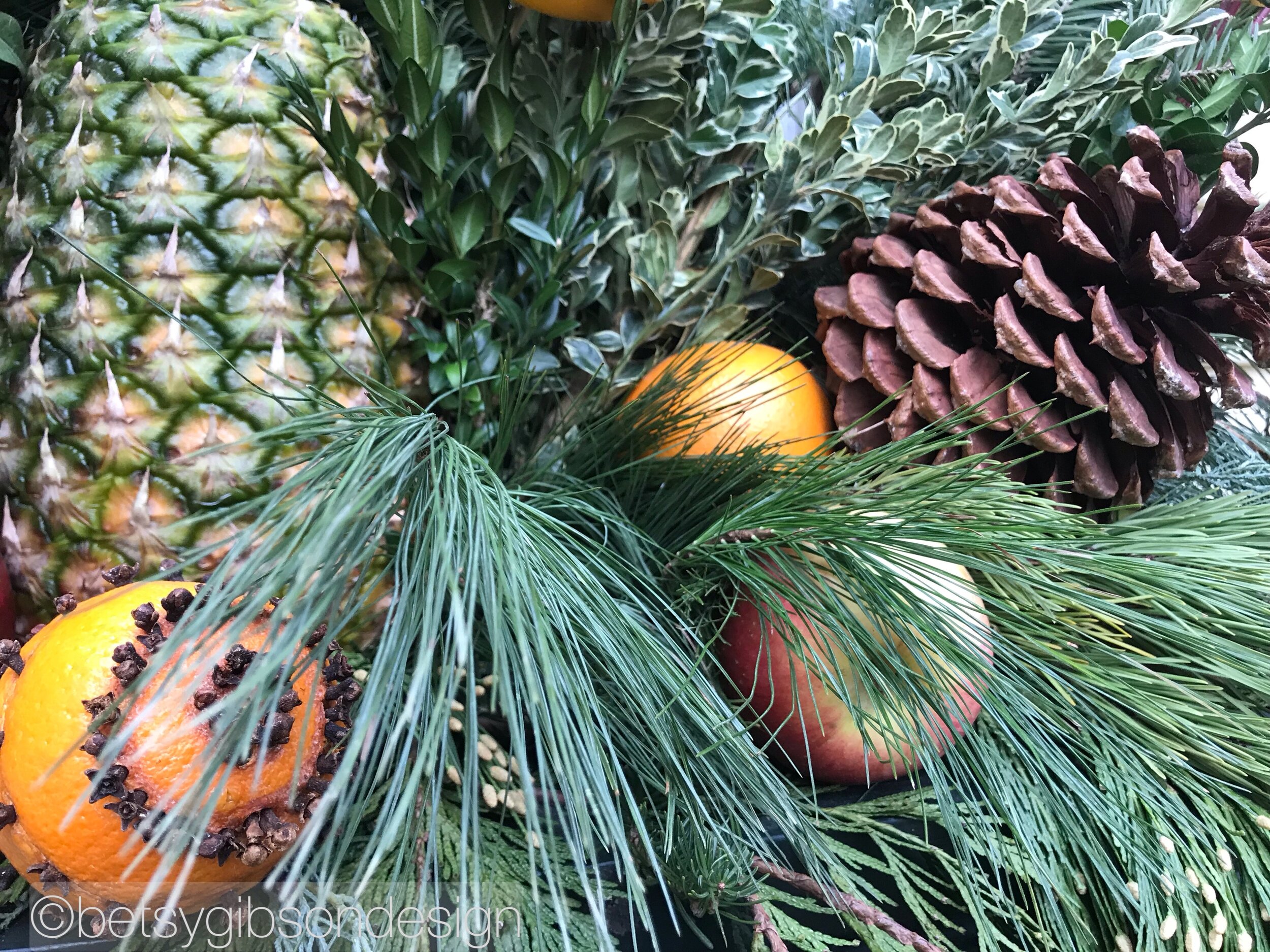 Watermarked319(2018-12-14-2046).jpeg