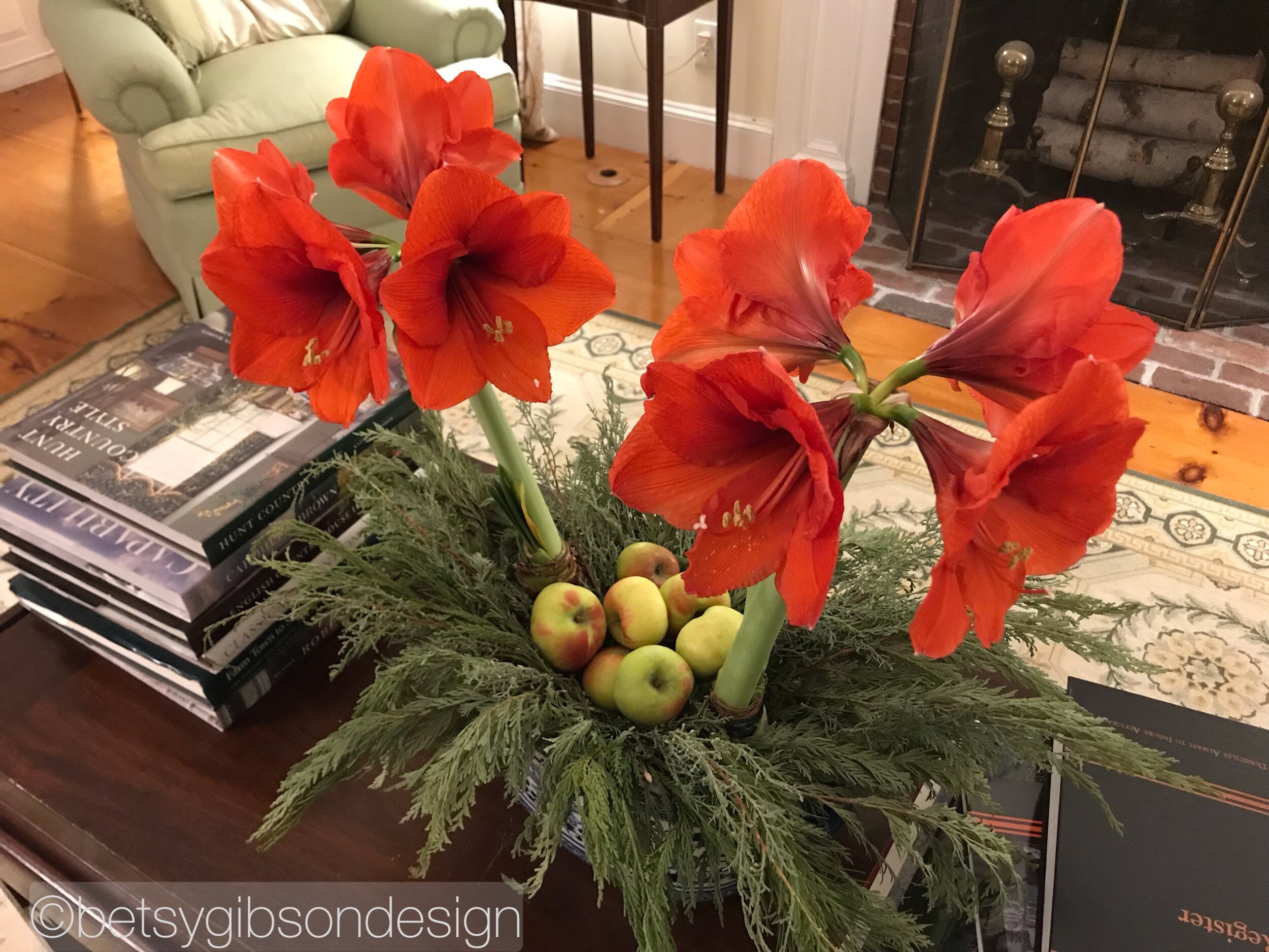Watermarked276(2018-12-14-2044).jpeg