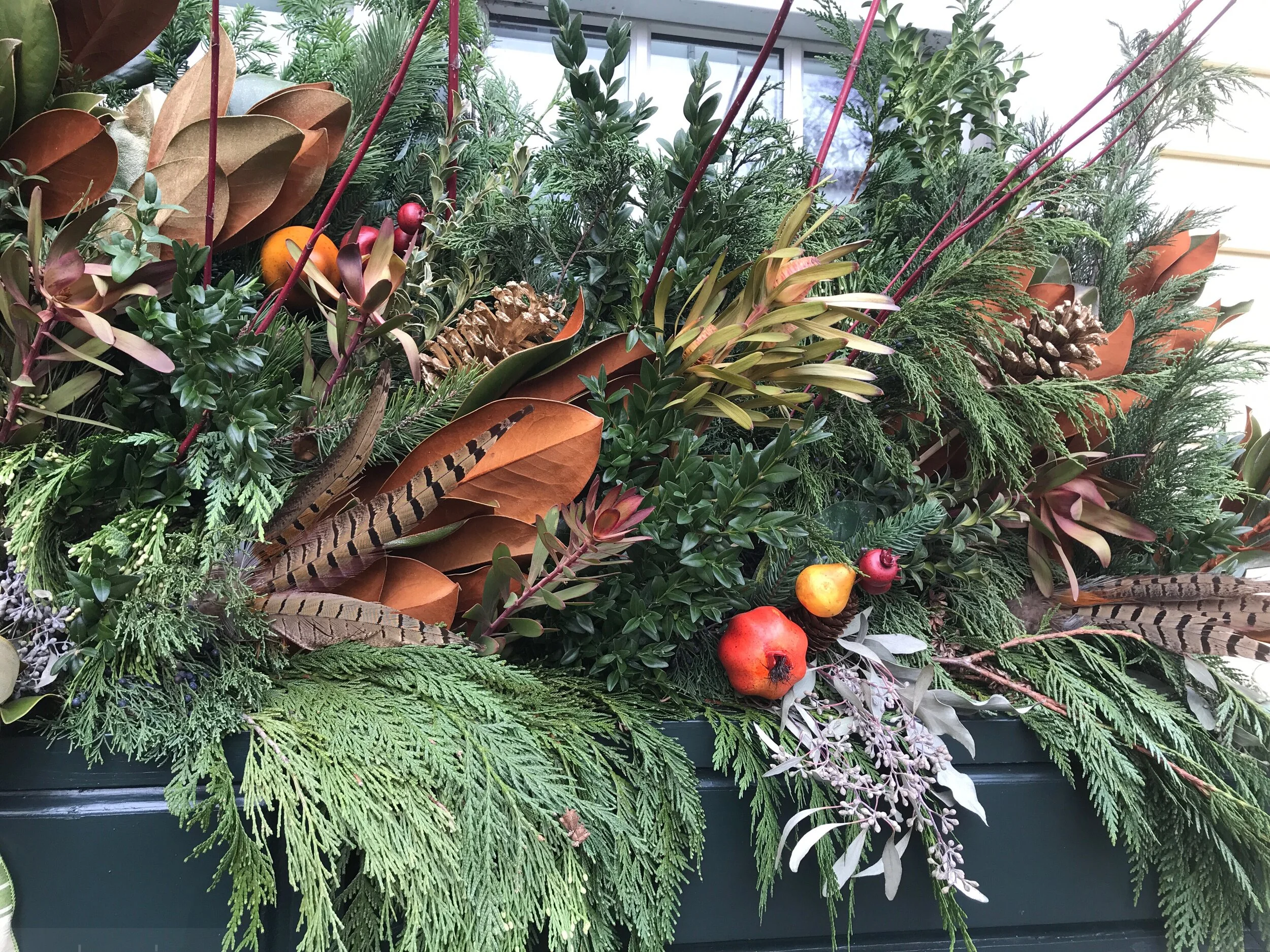 Watermarked1(2017-12-04-1045).jpg