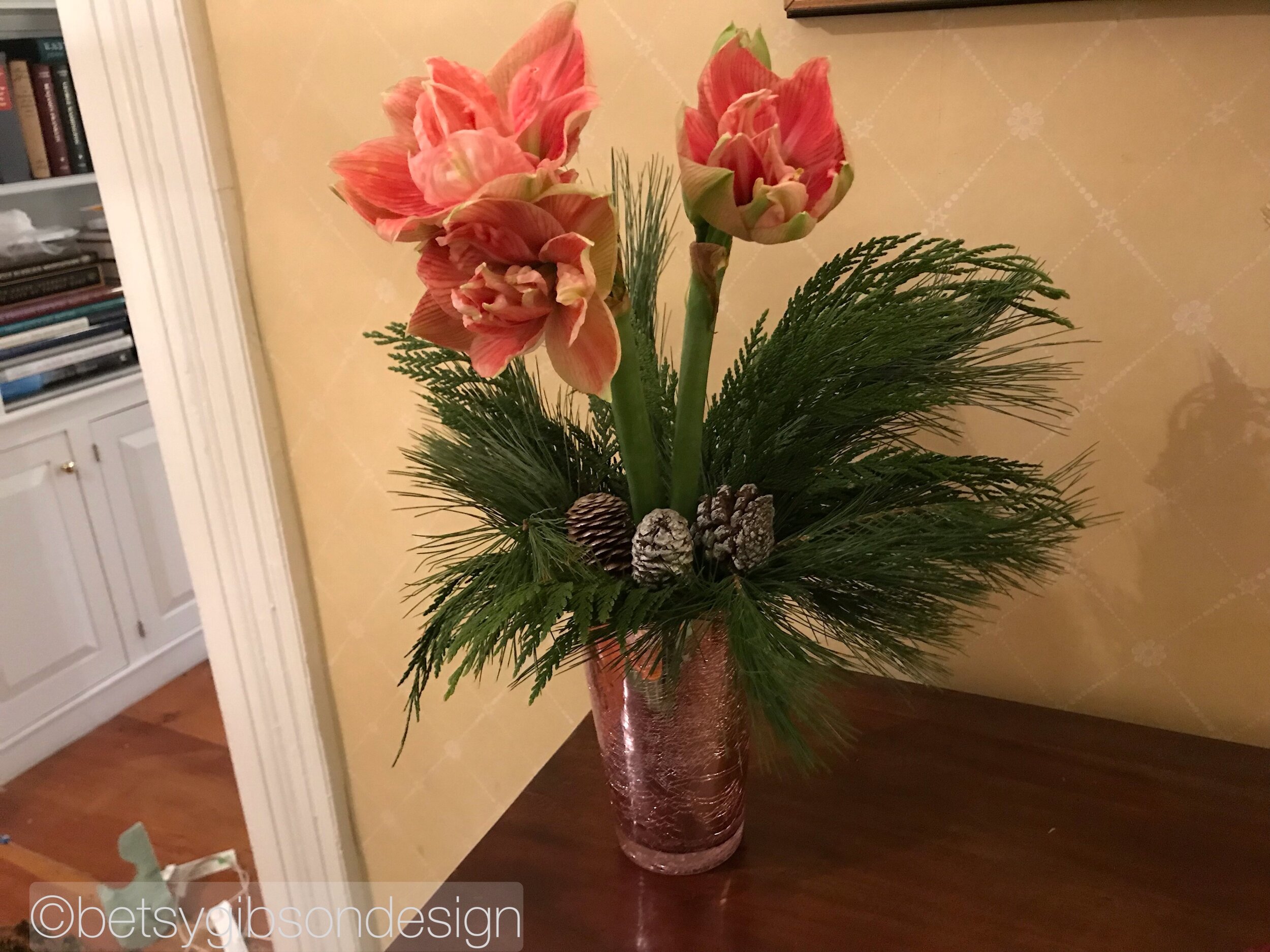 Watermarked406(2018-12-14-2051).jpeg