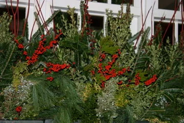 IMG_7873.jpg