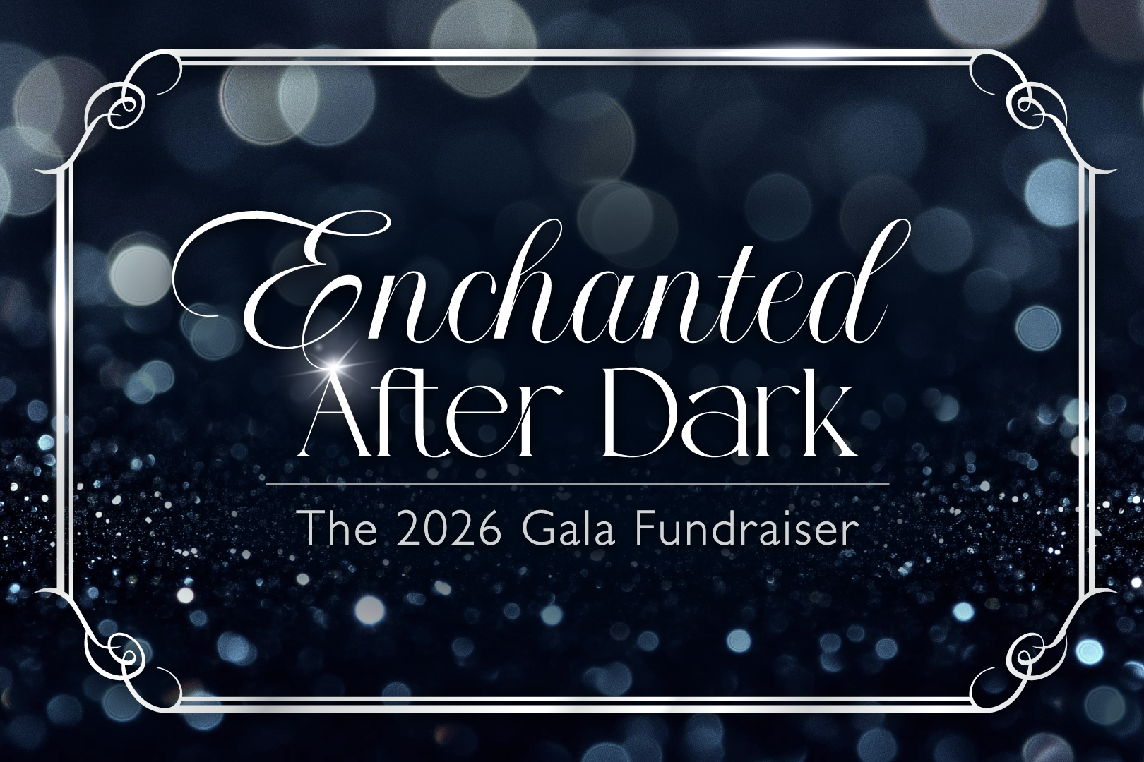 PEV's Annual Gala Fundraiser