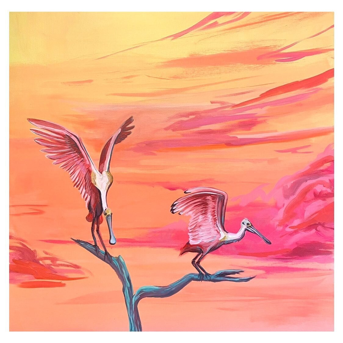 A couple of #spoonbills. 24x24 in acrylic. 💗💗
.
#kgloverart #kglover #roseatespoonbill #coastalbendart #coastalbend #texascoast