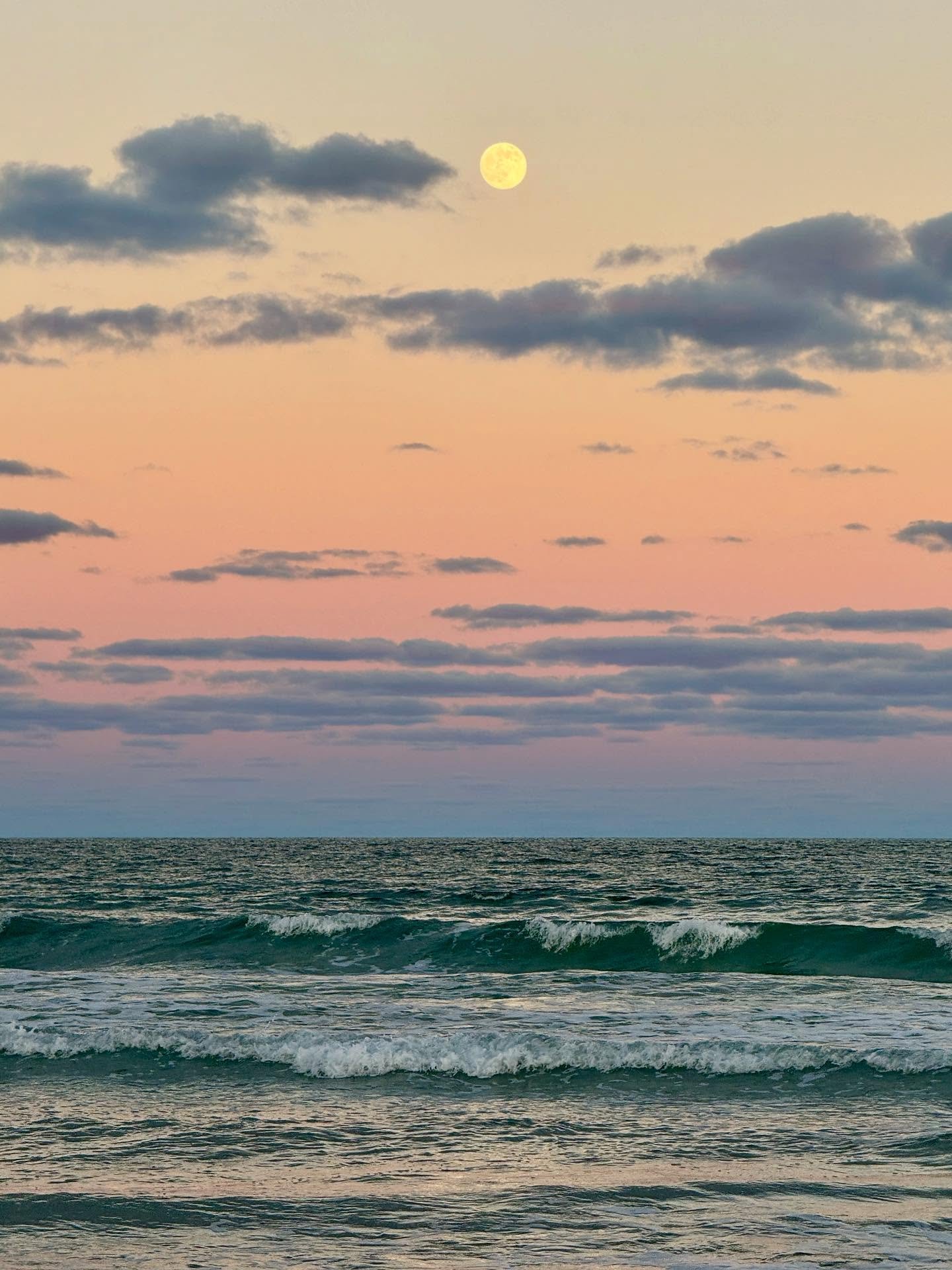 Truly magical moonrise on the beach last night with my momma, husband, and perros 🩷 so breathtaking! We even saw a couple of dolphins jumping and I just lost it.. haha I&rsquo;ll share the video on the next post! ✨
.
Thanking God everyday for every 