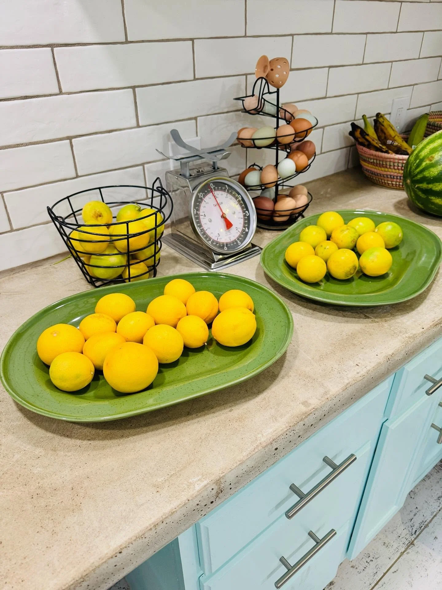 Life is giving lemons.. &amp; eggs! 🍋🥚
.
@kyleabunga says Patrice better get that oven ready (lemon pie time) 💛 
.
#kglover #praisegod #godisgood #whenlifegivesyoulemons #lemons #eggs #blessings #health #life #love