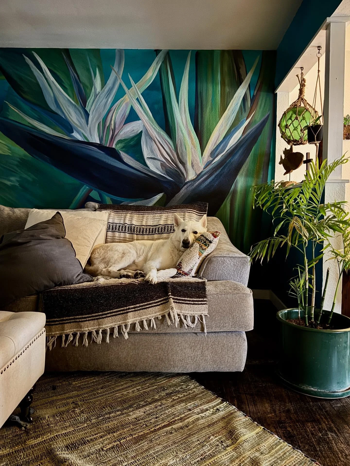 Holdin&rsquo; down the couch! 💚
.
#kglover #archer #whitegermanshepherd #mural #interior #interiordesign #cozyhome #love