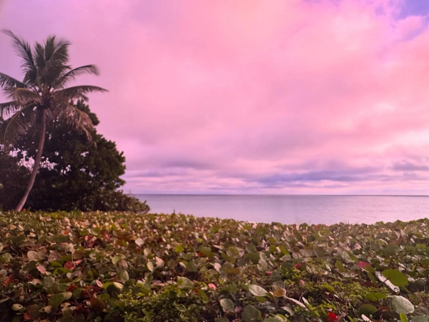 The beautiful #atlanticocean! We had a wild time in Miami for art week and saw so much art, but honestly I can&rsquo;t get enough of the coastline views in Florida!! My camera roll is full of pretty shots &amp; my inspiration meter is FULL! My studio