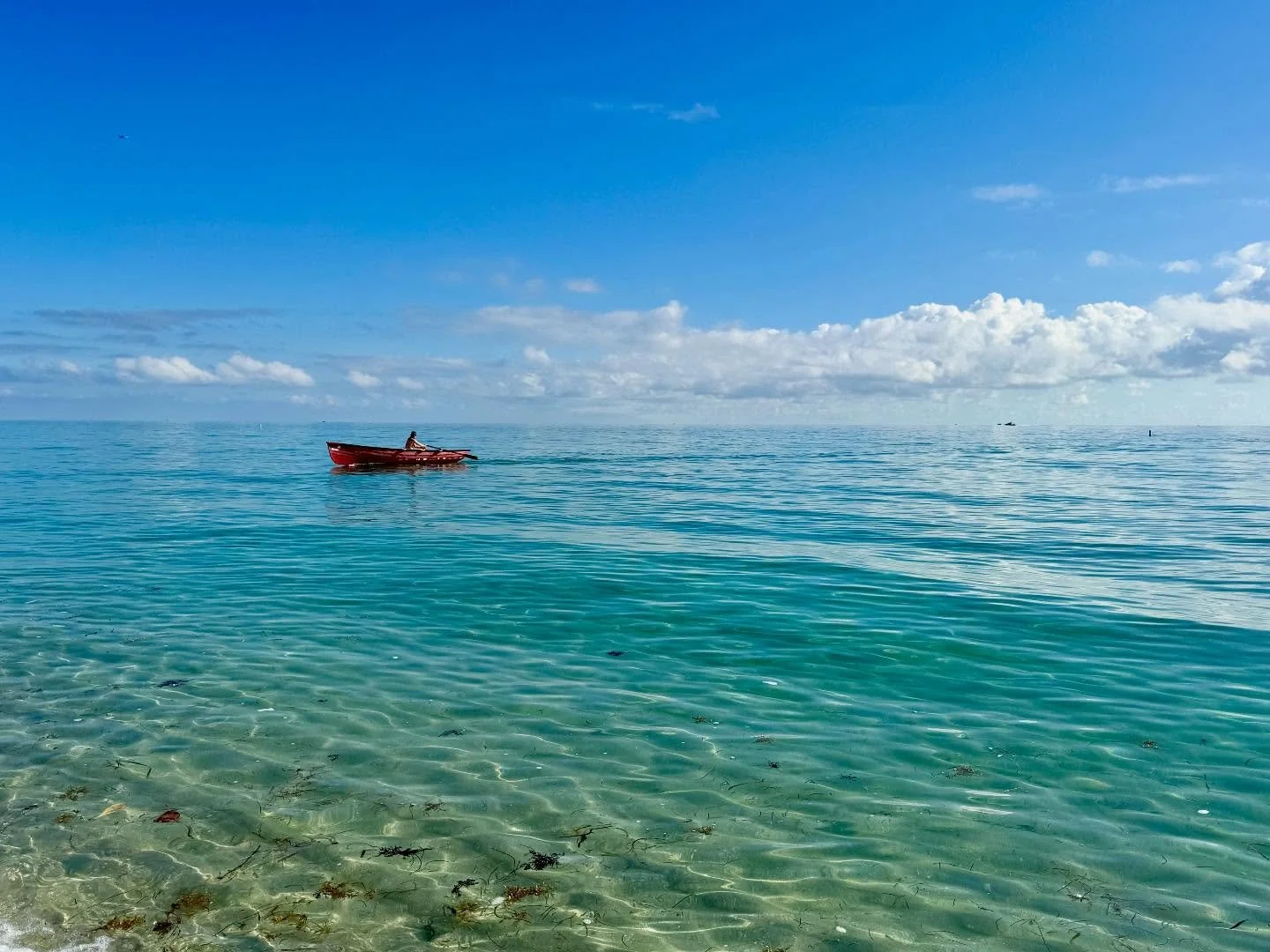 Atlantic Ocean hugging #southbeach Miami 😍😍😍
.
#kglover #miami #beachlover #dontgopostaljustgocoastal