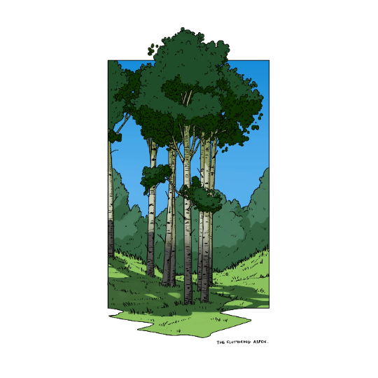 aspen.png