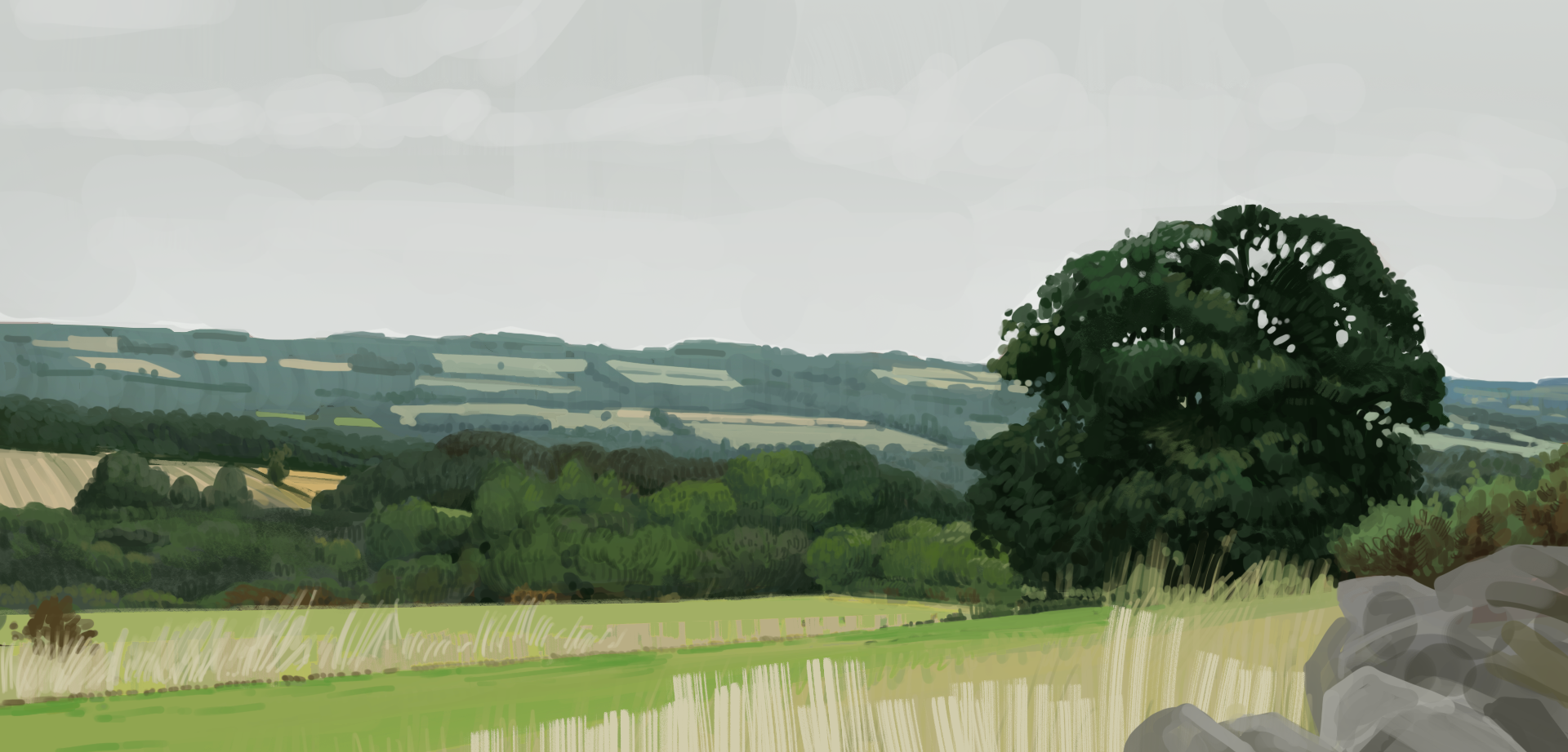 Fields_UK2.png