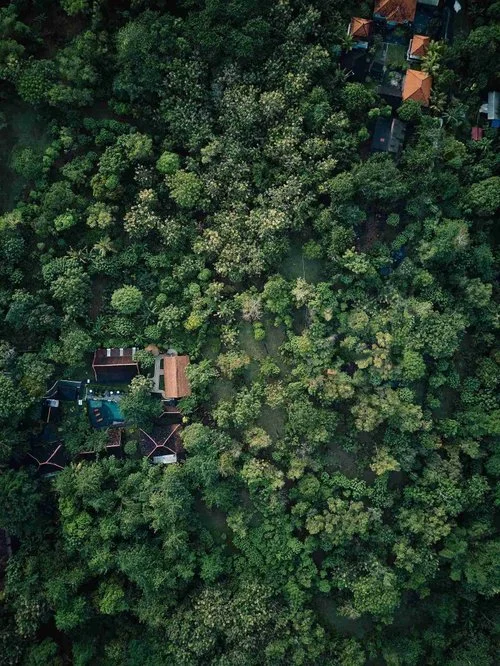 Kayu+Mama+Resort+Spa+Bukit+Forest_2_11zon.jpg