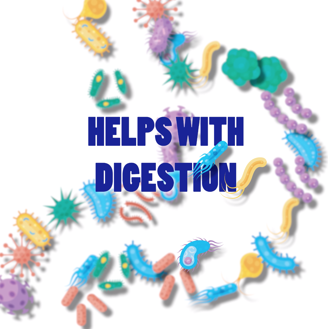 Instagram video for Microbiome 101 blog post