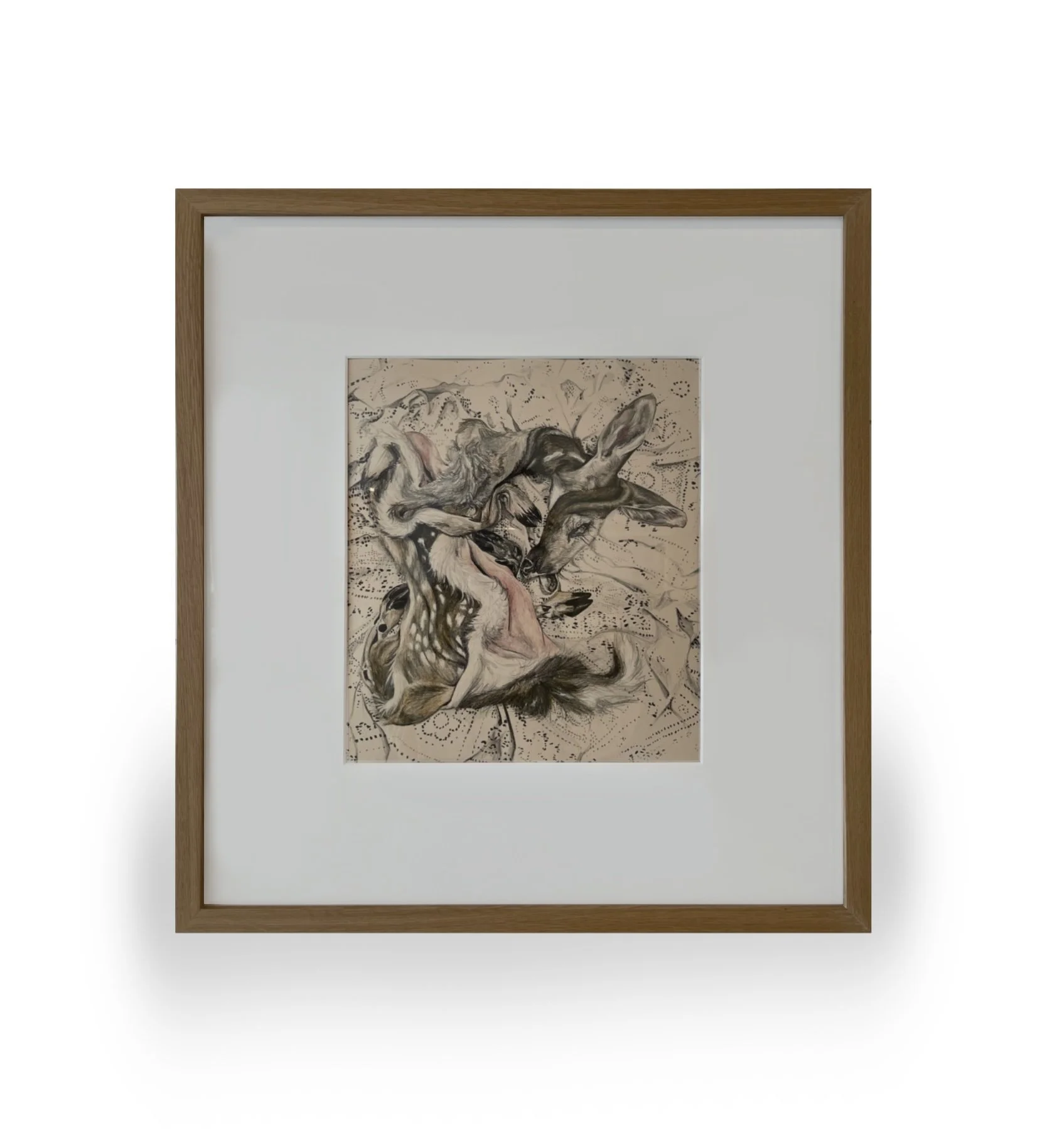 Zoe Nicole Nielsen - Fawn