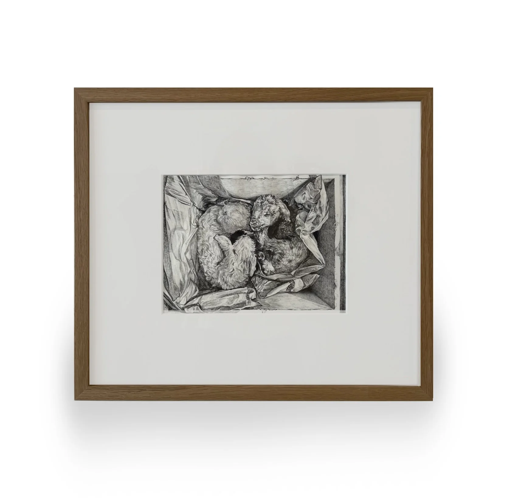 Zoe Nicole Nielsen - Next Day Air