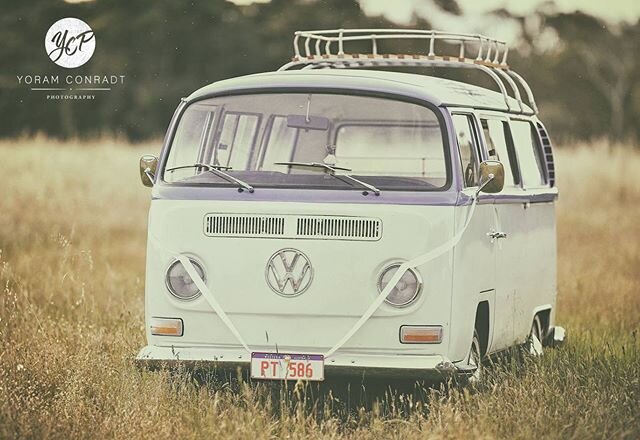 Winnie 😍 the 1969 kombi based down south and available for weddings &amp; wine tours. 📸 @yoramconradtphotography
