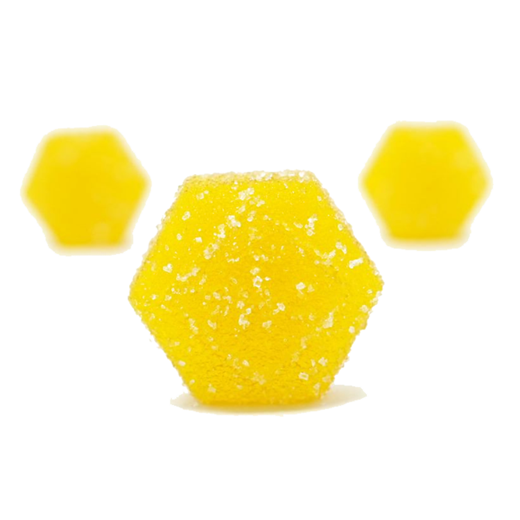 The Forest Dispensary Locations in Ohio and Kansas City, MO