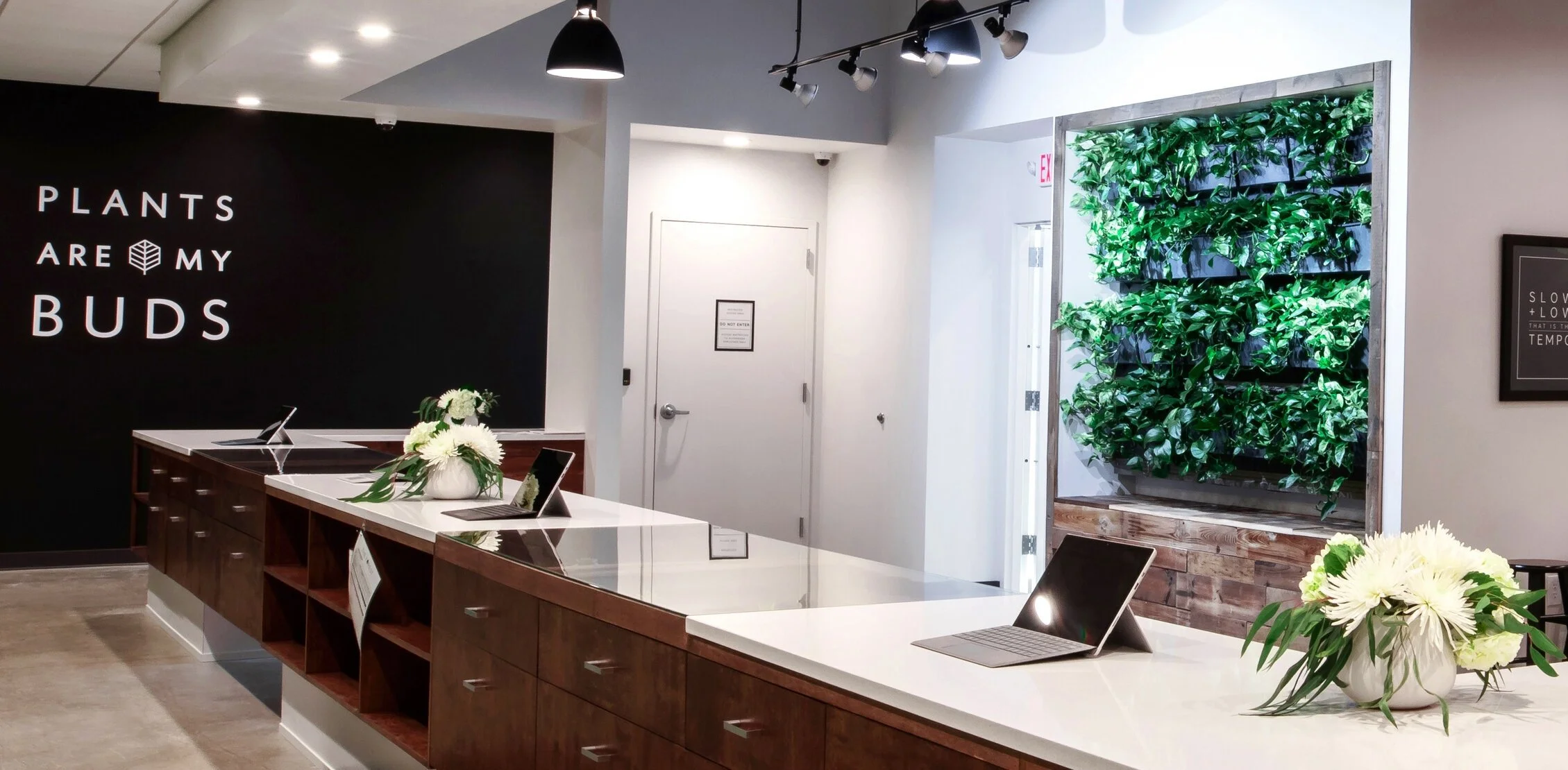 Sandusky Dispensary — The Forest