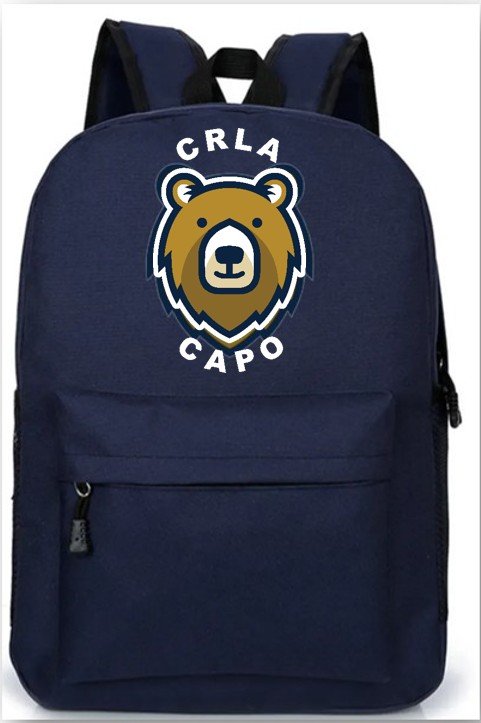 School BackPack.jpg