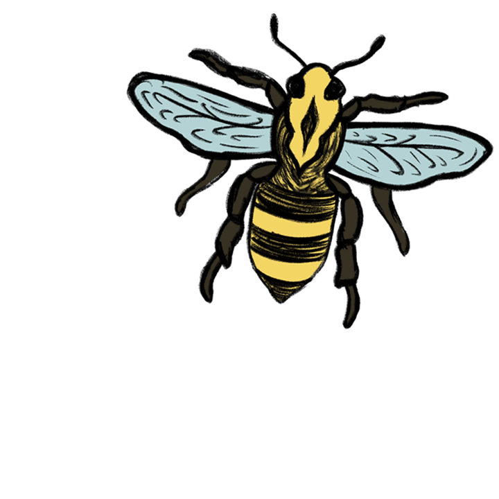 IMAGE_Bee_030323_MB.gif