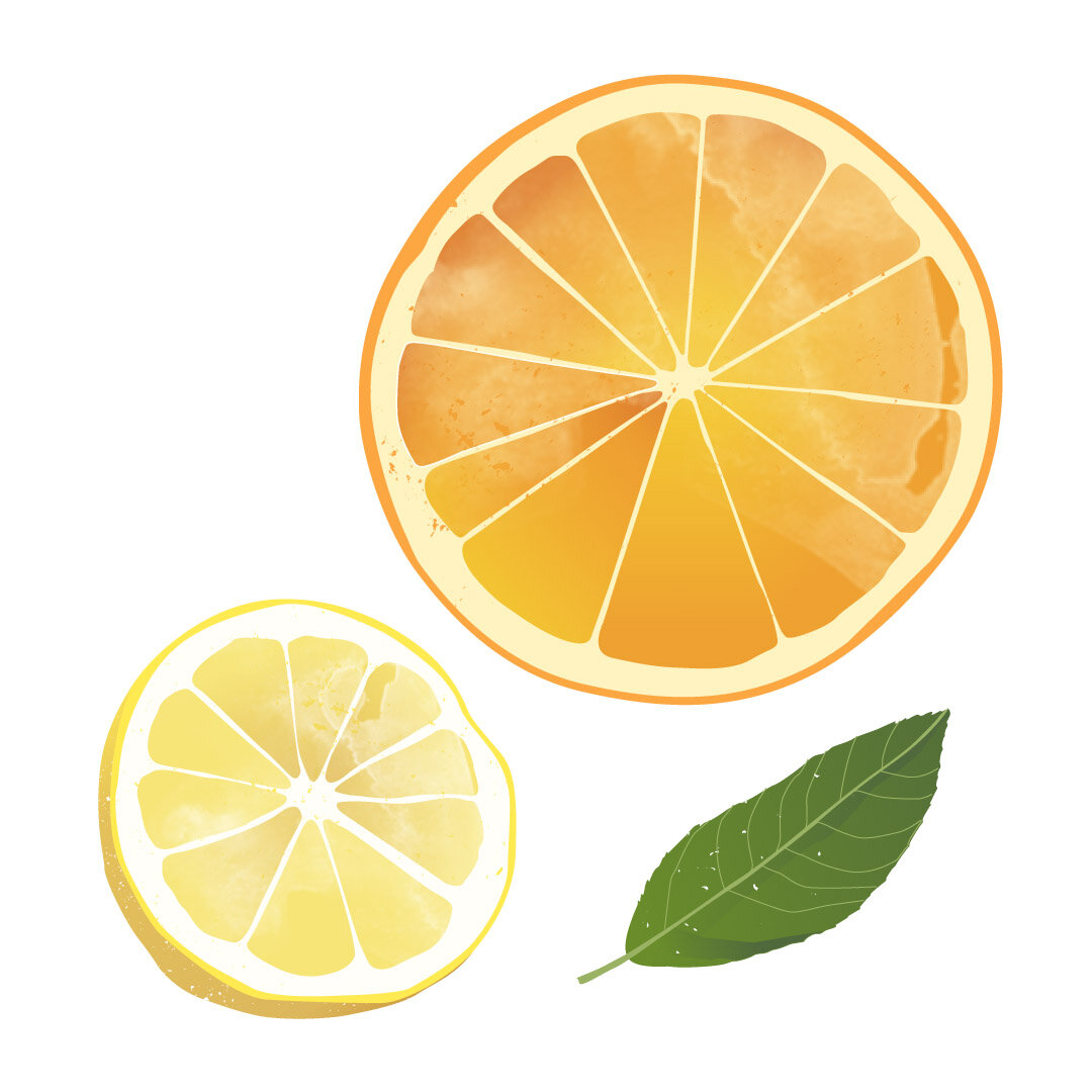 jessica-tang-orange-lemon-slice-illustration