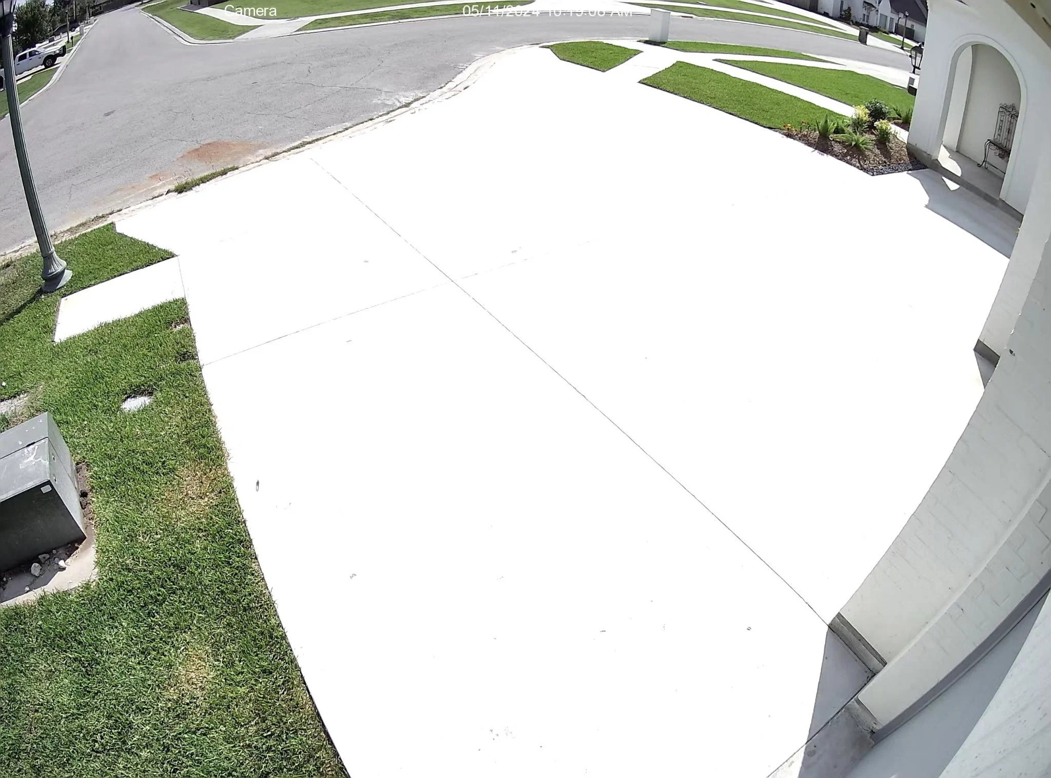 7477910113445379136 2.JPG