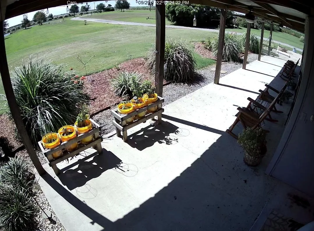 8635529550233937207 2.JPG