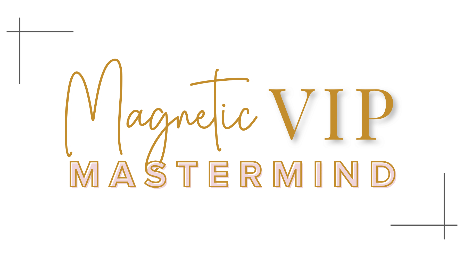 Magnetic VIP Mastermind — Social Cactus