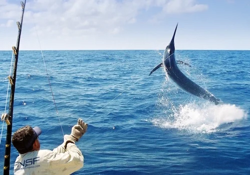 DEEPSEAFISHING-1.jpg