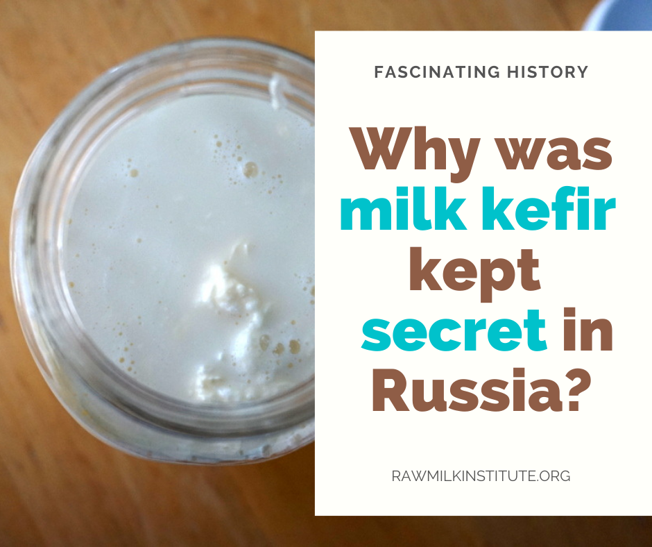 Where do Kefir grains come from?