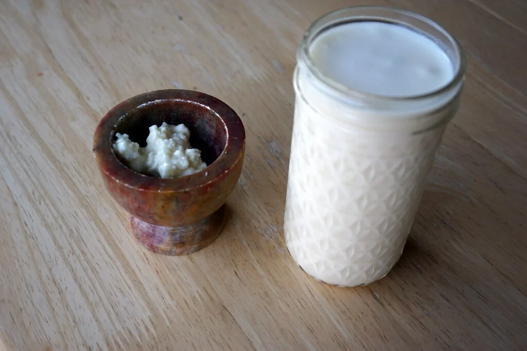 The Fascinating History of Milk Kefir — Raw Milk Institute